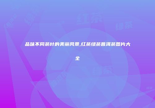 品味不同茶叶的美丽风景,红茶绿茶普洱茶图片大全