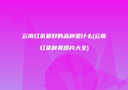 云南红茶最好的品种是什么(云南红茶种类图片大全)