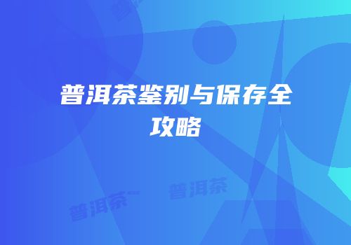 普洱茶鉴别与保存全攻略