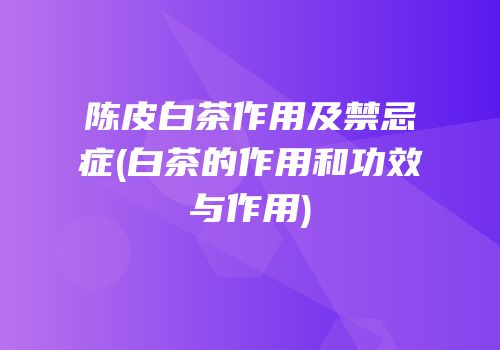 陈皮白茶作用及禁忌症(白茶的作用和功效与作用)