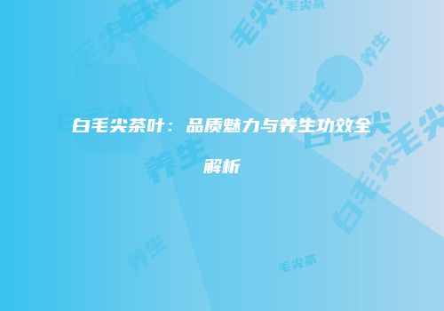 白毛尖茶叶：品质魅力与养生功效全解析
