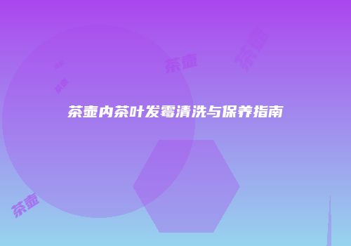 茶壶内茶叶发霉清洗与保养指南