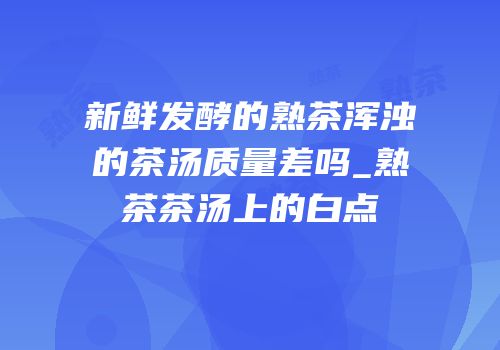 新鲜发酵的熟茶浑浊的茶汤质量差吗_熟茶茶汤上的白点