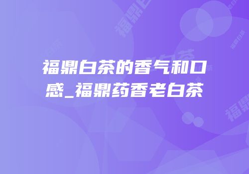 福鼎白茶的香气和口感_福鼎药香老白茶