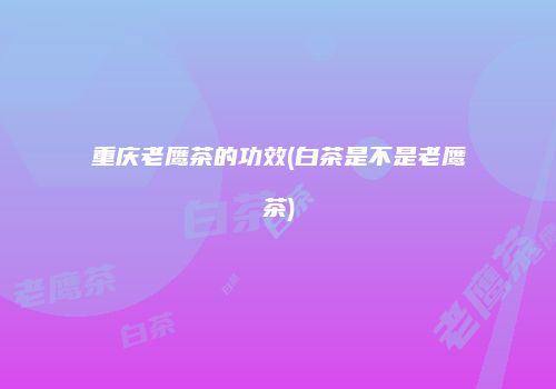 重庆老鹰茶的功效(白茶是不是老鹰茶)