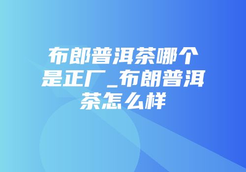 布郎普洱茶哪个是正厂_布朗普洱茶怎么样