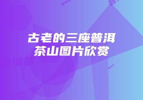 古老的三座普洱茶山图片欣赏