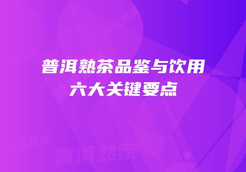 普洱熟茶品鉴与饮用六大关键要点