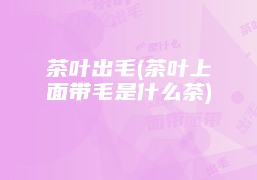 茶叶出毛(茶叶上面带毛是什么茶)