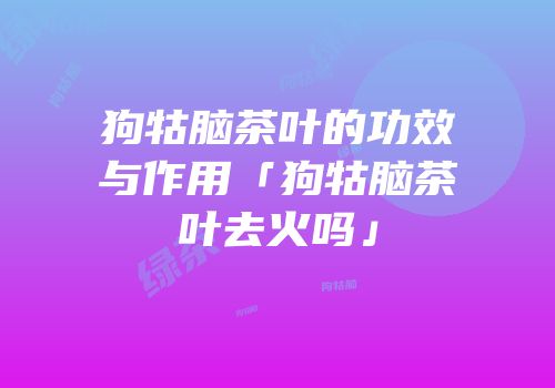 狗牯脑茶叶的功效与作用「狗牯脑茶叶去火吗」