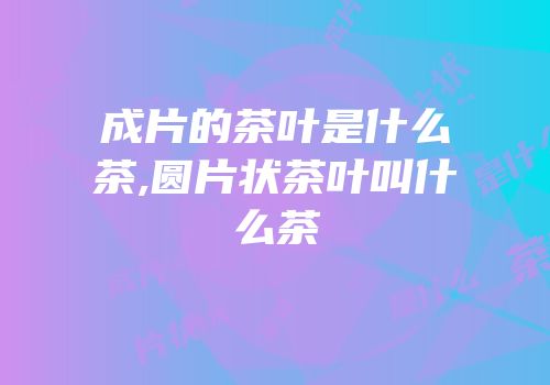 成片的茶叶是什么茶,圆片状茶叶叫什么茶
