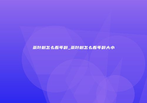 茶叶树怎么看年龄_茶叶树怎么看年龄大小