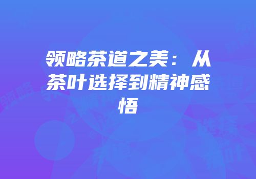 领略茶道之美：从茶叶选择到精神感悟