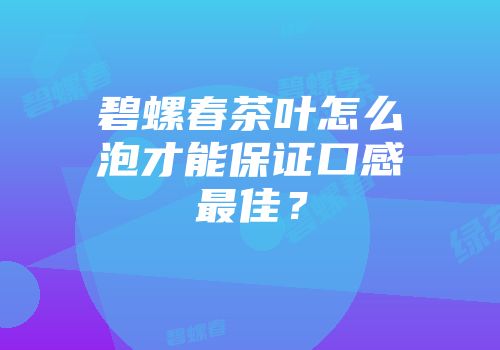 碧螺春茶叶怎么泡才能保证口感最佳？
