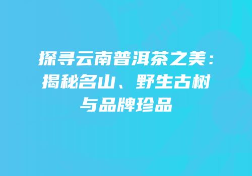 探寻云南普洱茶之美：揭秘名山、野生古树与品牌珍品