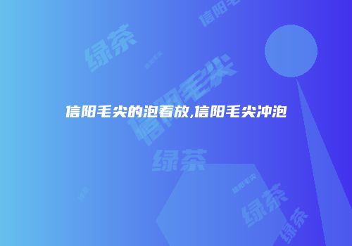 信阳毛尖的泡着放,信阳毛尖冲泡