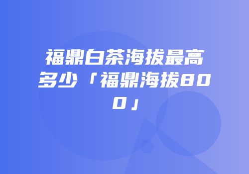 福鼎白茶海拔最高多少「福鼎海拔800」