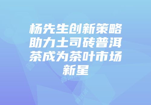 杨先生创新策略助力土司砖普洱茶成为茶叶市场新星