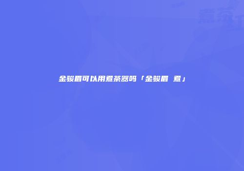 金骏眉可以用煮茶器吗「金骏眉 煮」