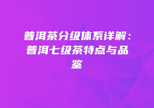 普洱茶分级体系详解：普洱七级茶特点与品鉴