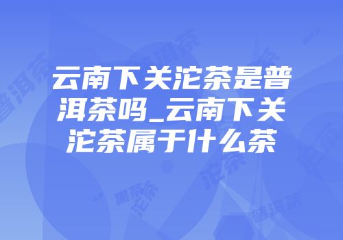 云南下关沱茶是普洱茶吗_云南下关沱茶属于什么茶