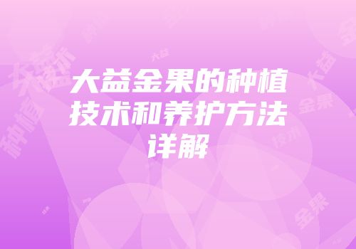 大益金果的种植技术和养护方法详解