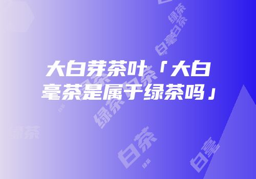 大白芽茶叶「大白毫茶是属于绿茶吗」