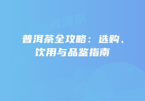 普洱茶全攻略：选购、饮用与品鉴指南