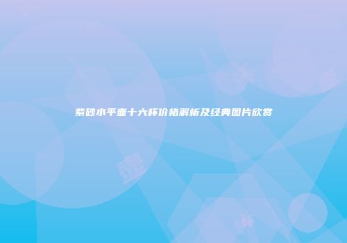 紫砂水平壶十六杯价格解析及经典图片欣赏