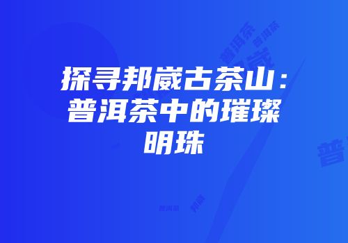 探寻邦崴古茶山：普洱茶中的璀璨明珠