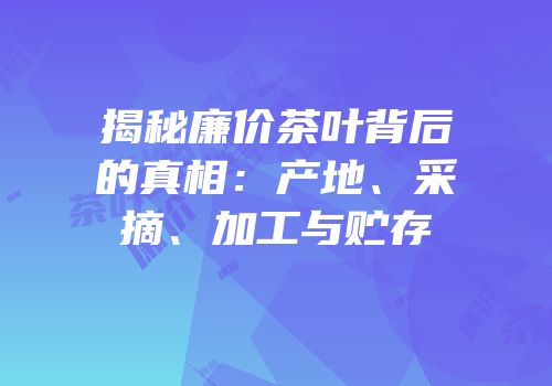 揭秘廉价茶叶背后的真相：产地、采摘、加工与贮存