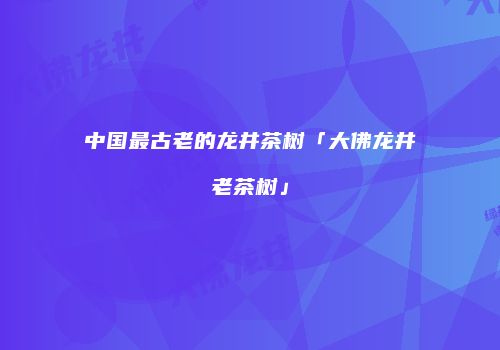 中国最古老的龙井茶树「大佛龙井老茶树」