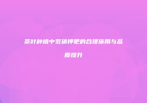 茶叶种植中氮磷钾肥的合理施用与品质提升