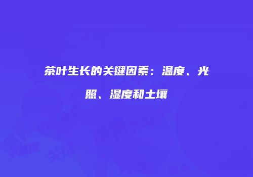茶叶生长的关键因素：温度、光照、湿度和土壤