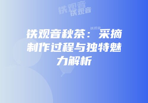 铁观音秋茶：采摘制作过程与独特魅力解析
