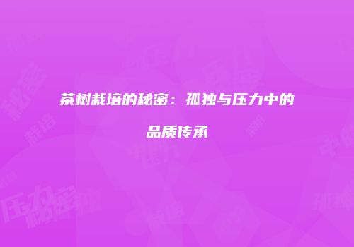 茶树栽培的秘密：孤独与压力中的品质传承