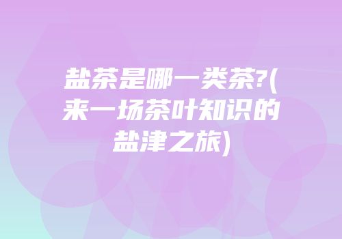 盐茶是哪一类茶?(来一场茶叶知识的盐津之旅)