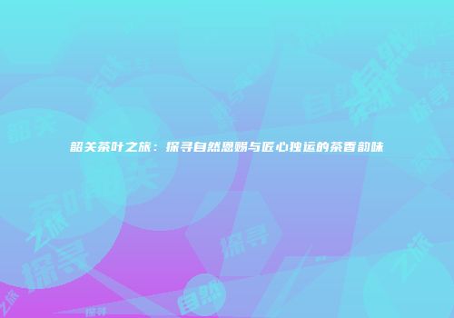 韶关茶叶之旅：探寻自然恩赐与匠心独运的茶香韵味