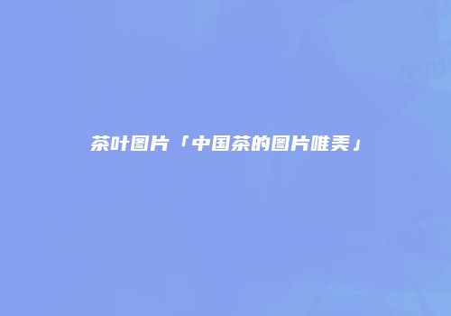 茶叶图片「中国茶的图片唯美」