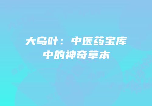 大乌叶：中医药宝库中的神奇草本