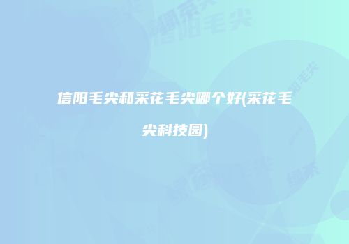 信阳毛尖和采花毛尖哪个好(采花毛尖科技园)