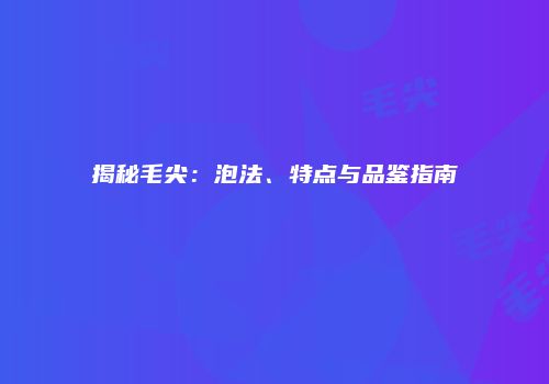 揭秘毛尖：泡法、特点与品鉴指南