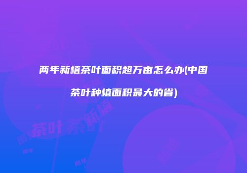 两年新植茶叶面积超万亩怎么办(中国茶叶种植面积最大的省)