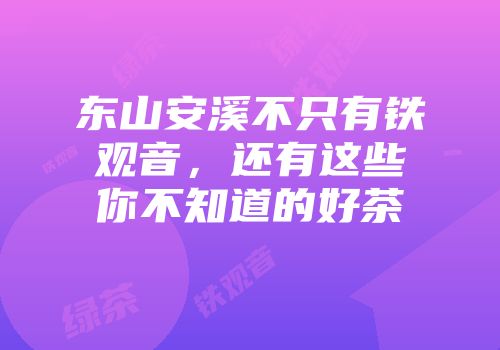 东山安溪不只有铁观音，还有这些你不知道的好茶