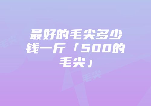 最好的毛尖多少钱一斤「500的毛尖」