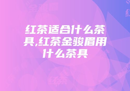 红茶适合什么茶具,红茶金骏眉用什么茶具