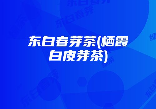 东白春芽茶(栖霞白皮芽茶)