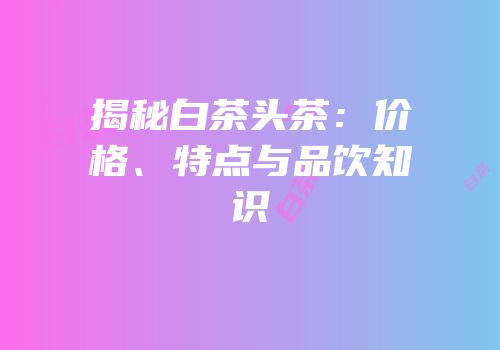 揭秘白茶头茶：价格、特点与品饮知识
