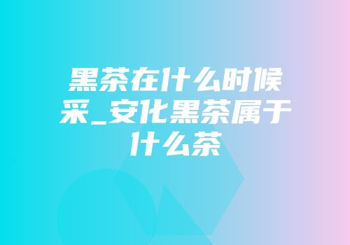 黑茶在什么时候采_安化黑茶属于什么茶