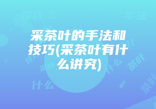 采茶叶的手法和技巧(采茶叶有什么讲究)
